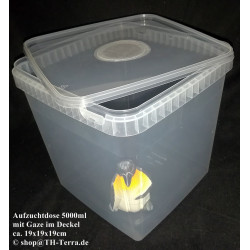 5000ml box with gauze in lid