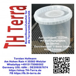 1025ml round with gauze in lid transparent