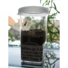 Rearing container 25ml clear 250 + 3