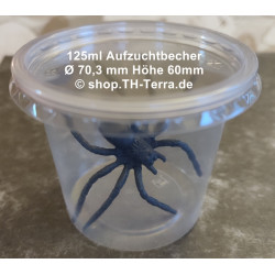 125ml rearing cup 100 pack