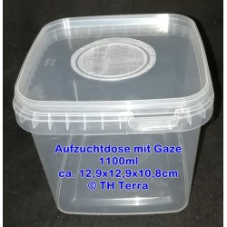 1150ml rearing tin with gauze in lid square